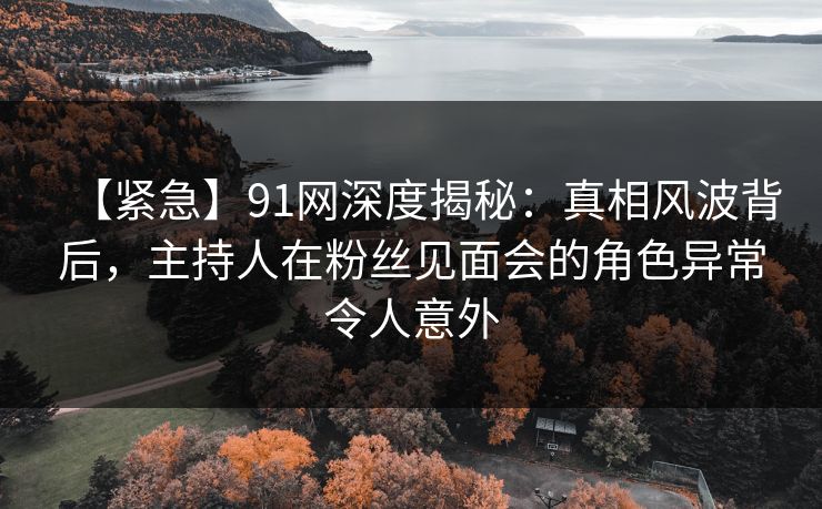 【紧急】91网深度揭秘:真相风波背后,主持人在粉丝见面会的角色异常令人意外 【紧急】91网深度揭秘:真相风波背后,主持人在粉丝见面会的角色异常令人意外