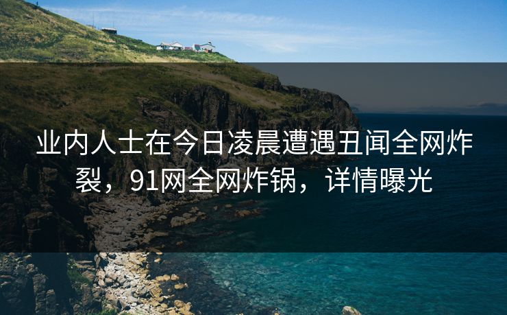 业内人士在今日凌晨遭遇丑闻全网炸裂，91网全网炸锅，详情曝光