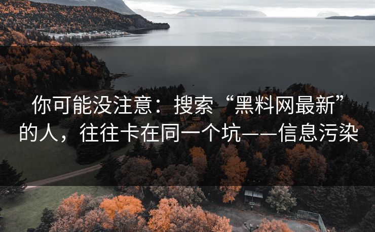 你可能没注意：搜索“黑料网最新”的人，往往卡在同一个坑——信息污染
